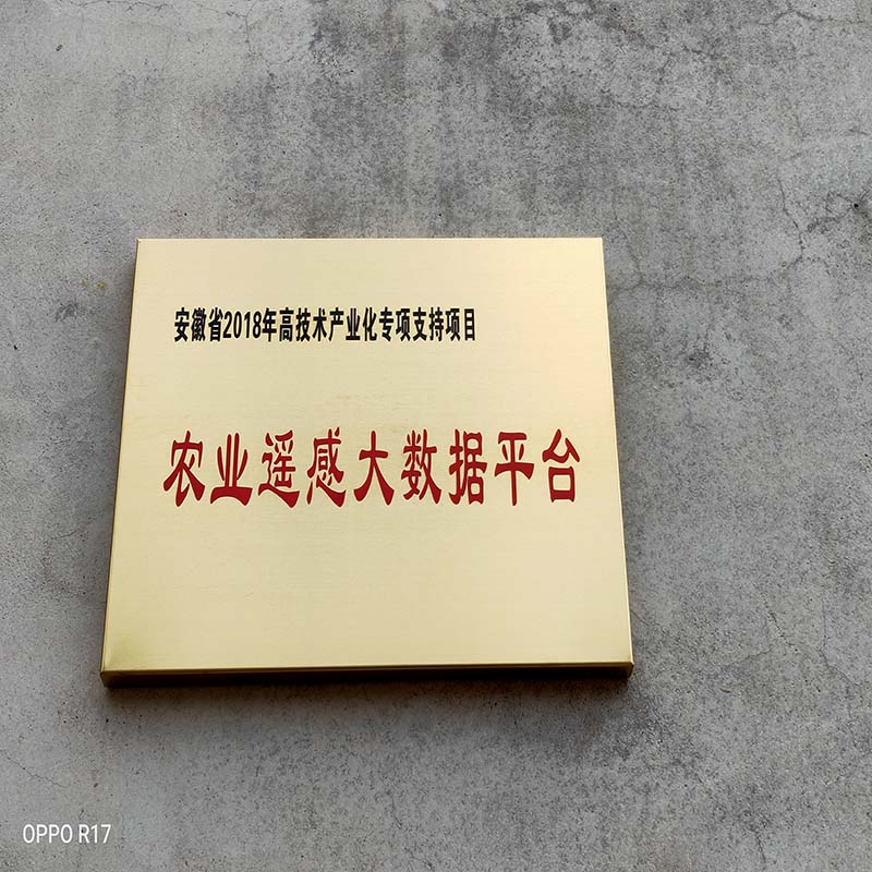 企業(yè)銅牌制作定做